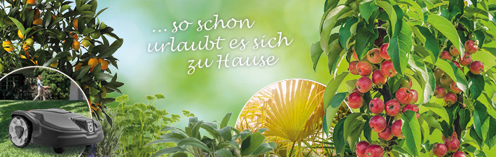 Urlaub Zu Hause