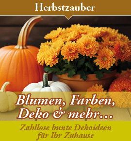 Blumen, Farben, Deko & mehr... Zahllose bunte Dekoideen für Ihr Zuhause